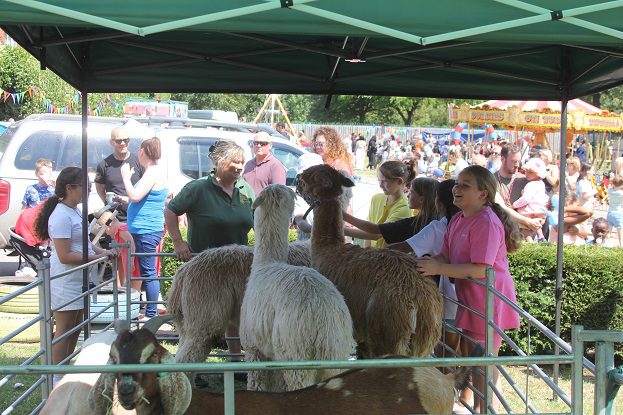 Pupils also got to meet animals in a petting zoo at the party.